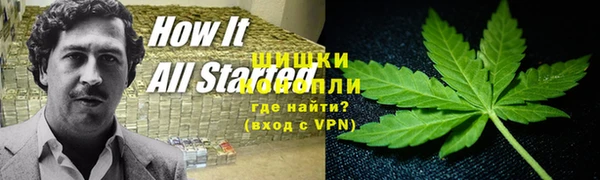 амф Абаза