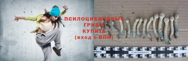 mdpv Алзамай