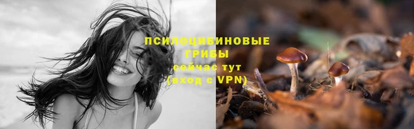 винт Абдулино
