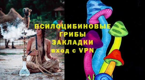 амф Абаза